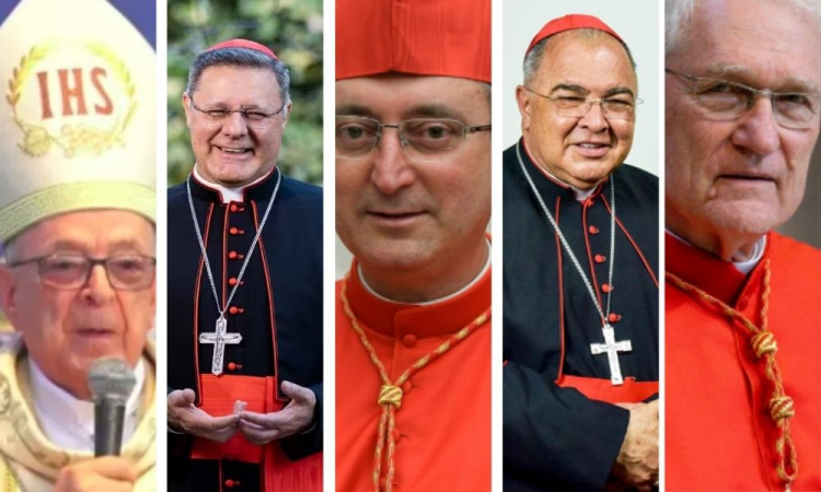 cardeais-brasileiros-votam-no-novo-papa-750x450