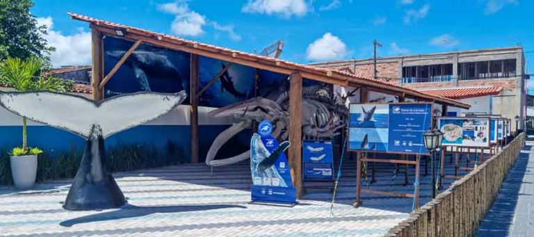 954288_db8344dddc2e40e9bd0848ddc066a9b9~mv2